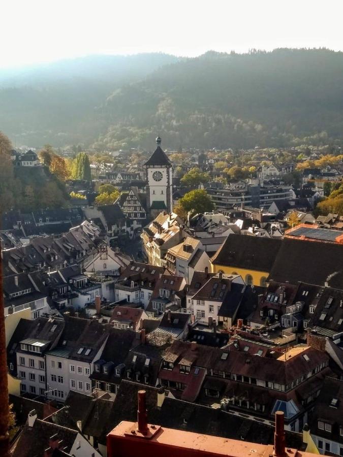 Luxus Penthouse Whiterussian Apartman Freiburg im Breisgau Kültér fotó